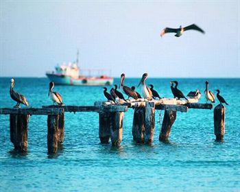 Wayak Holbox Hotel Eksteriør billede